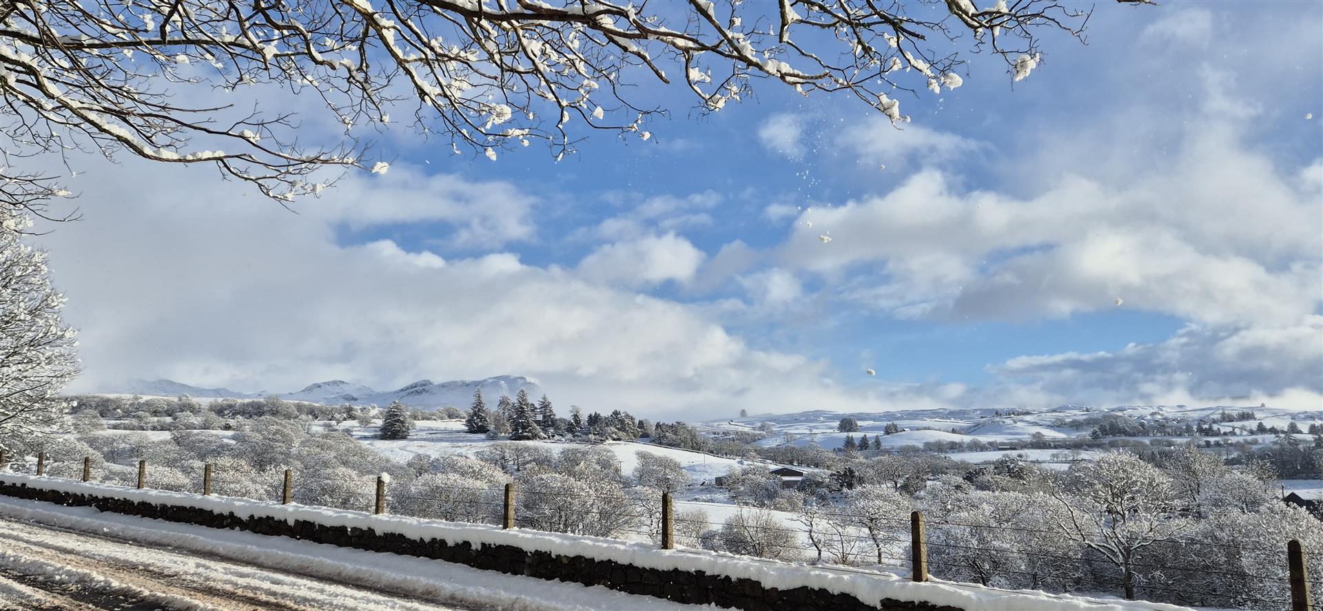snow 5.jpg